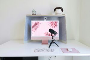 webcam model advice