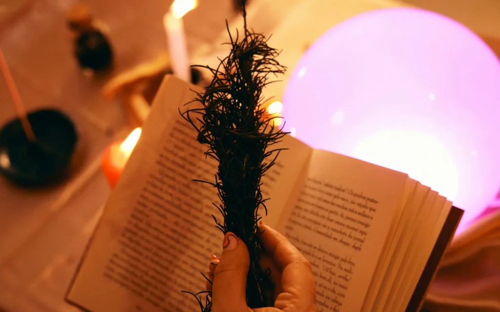 best psychic readings by phone