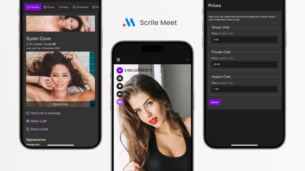 Scrile Meet Interface