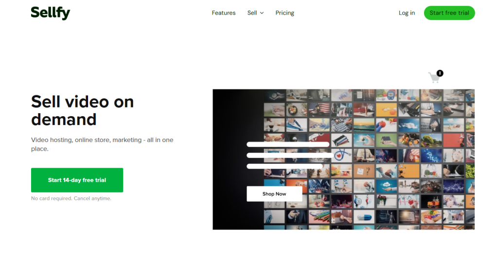 sellfy website