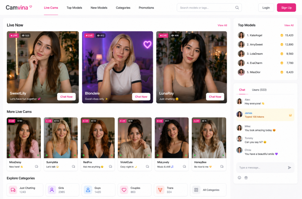 turnkey cam site solution