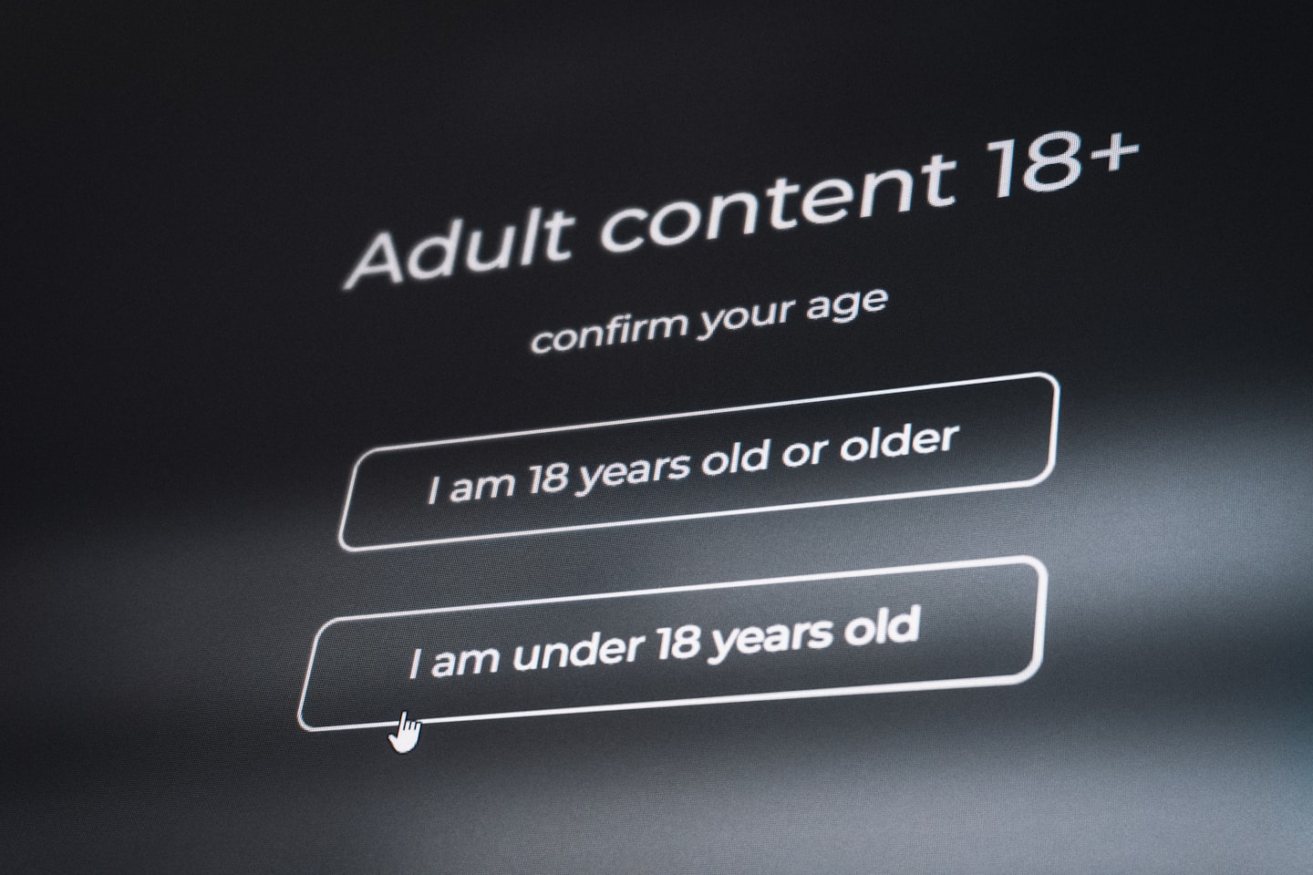 Payment screen and subscription settings for a high-risk AI adult platform launch