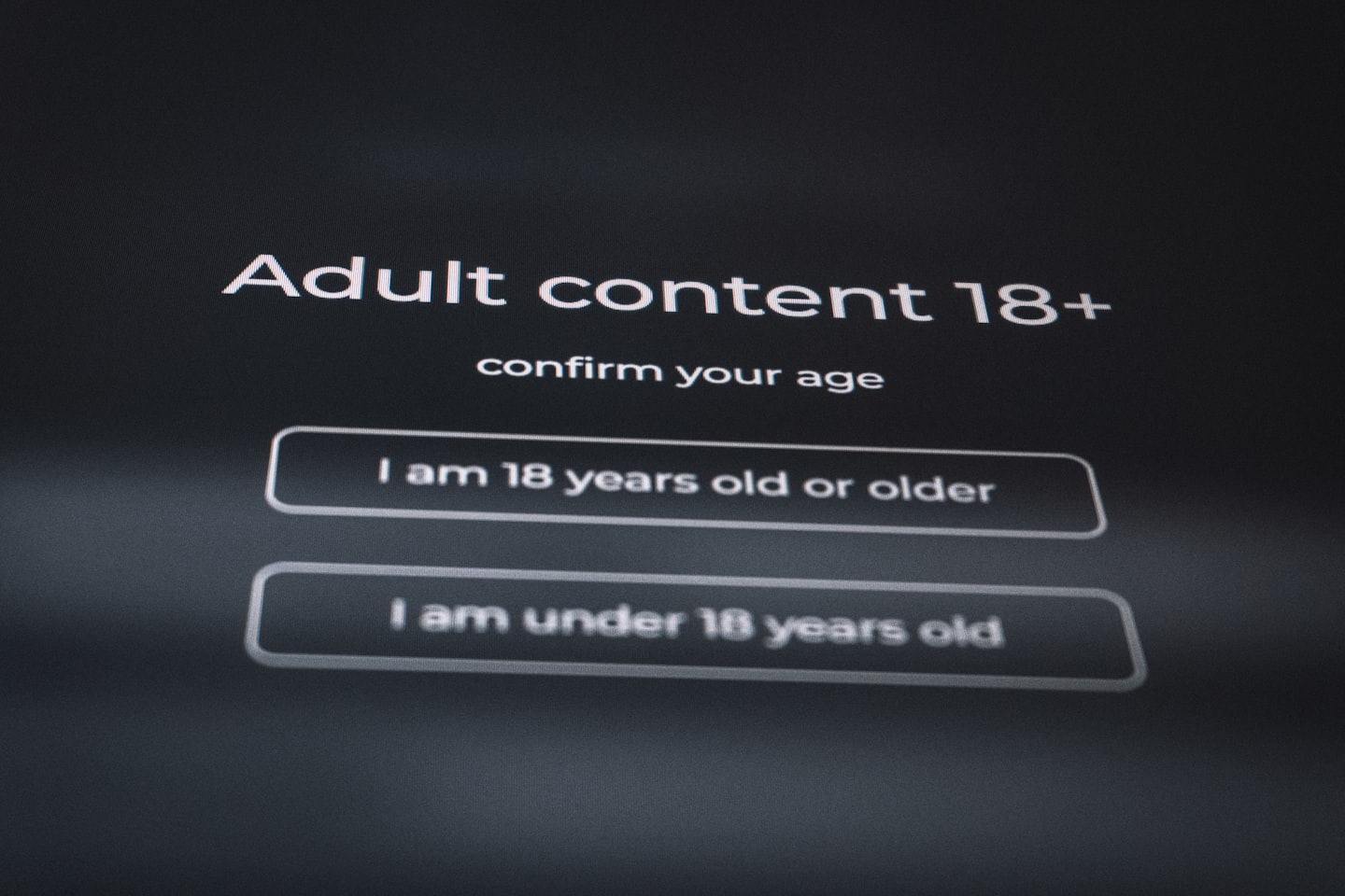 Operator reviewing hosting policy terms for adult content and risk tolerance